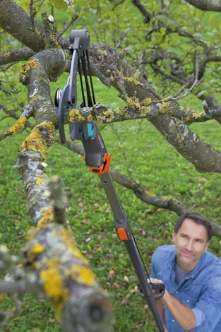 Combisystem Bypass Branch Pruner