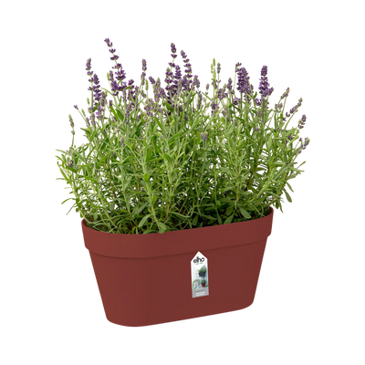 Loft Urban Green Wall Duo 28Cm (Brique)