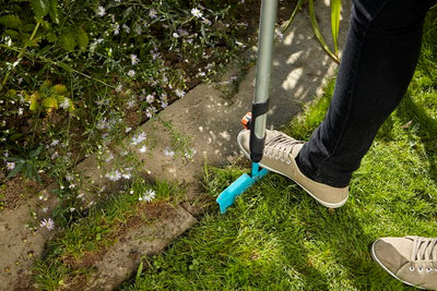 Lawn Edge Trimmer