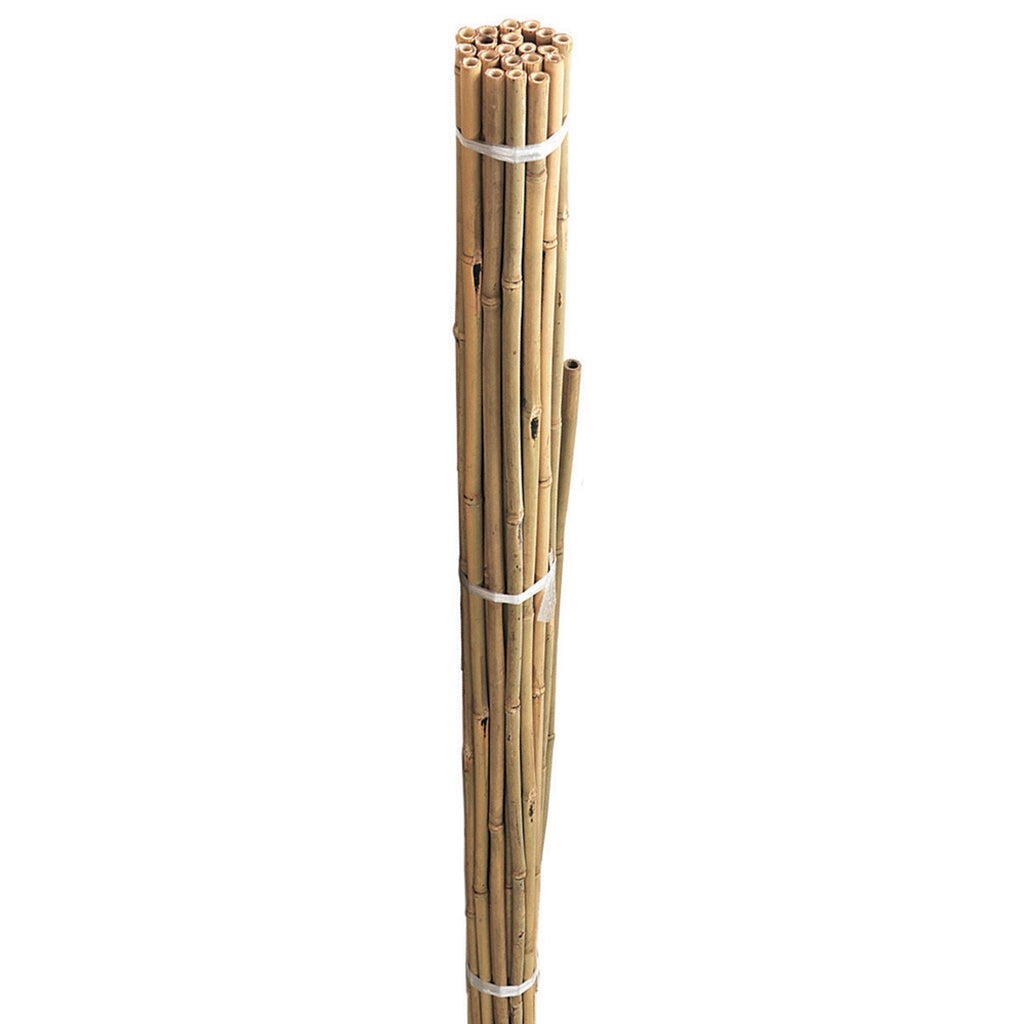 Grow It 60cm Bamboo Canes Bulk Bundle - 20 Pack