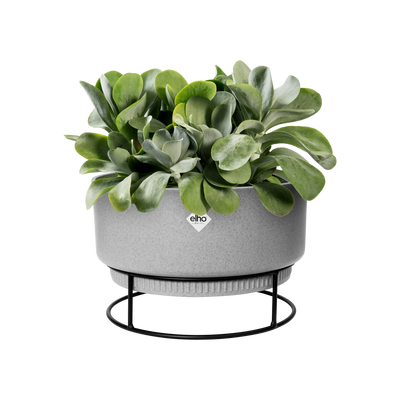 B.For Studio Bowl 30Cm (Concrete)