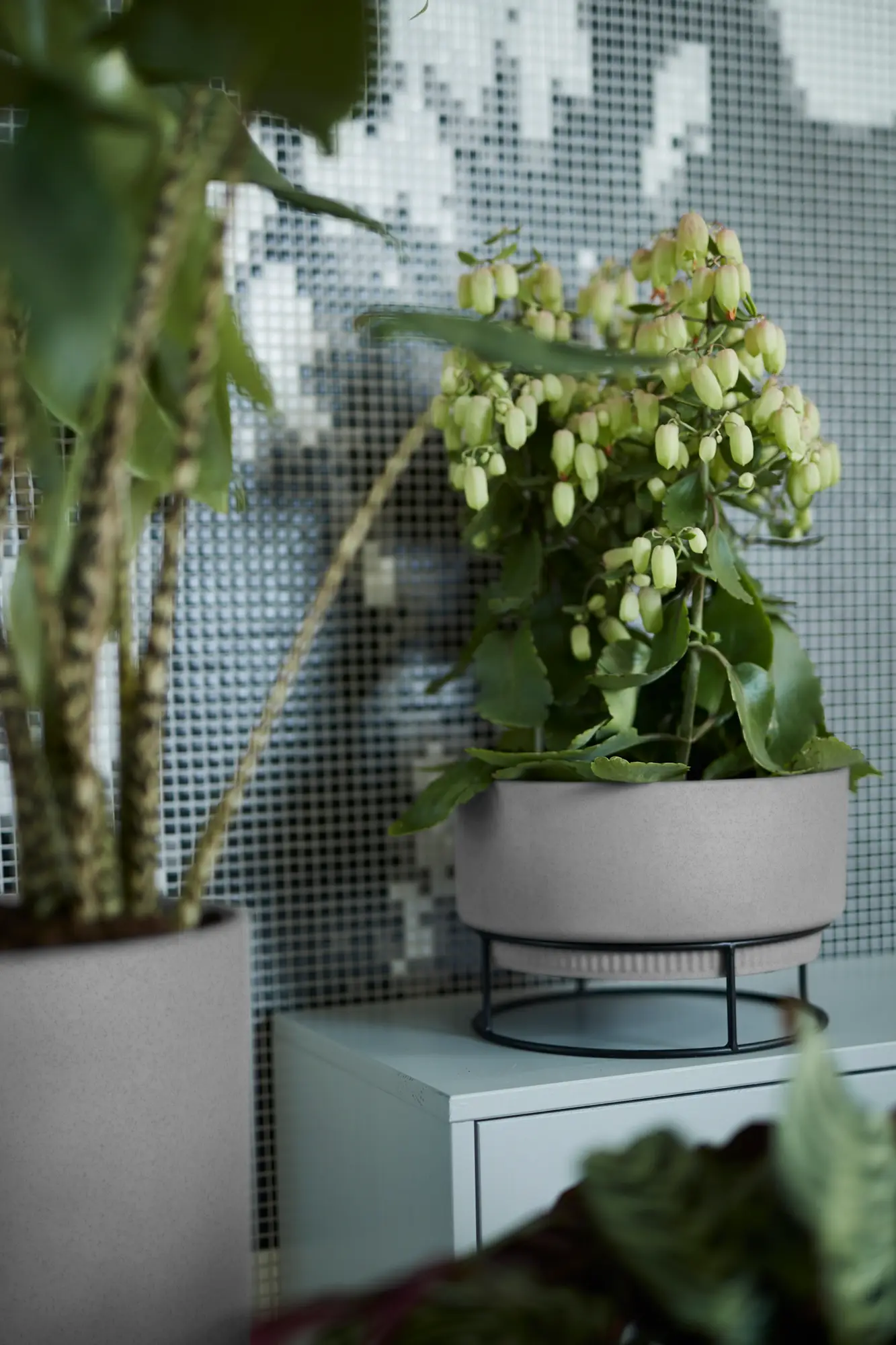 B.For Studio Bowl 30Cm (Concrete)