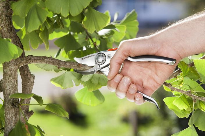 Secateurs BP 50/21