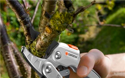 Comfort Ratchet Secateur Smartcut