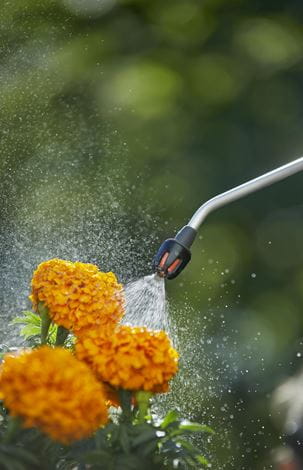 Pressure Sprayer 5L