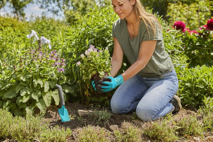 Planting and Soil Gloves L