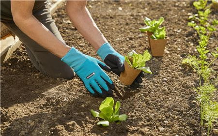 Planting and Soil Gloves L