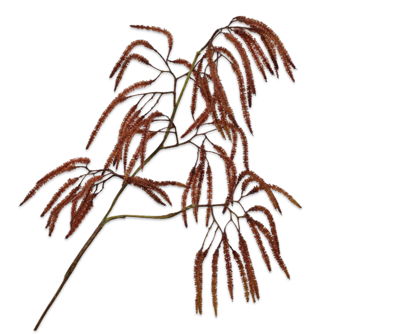Hazel Spray Red Dk 71cm