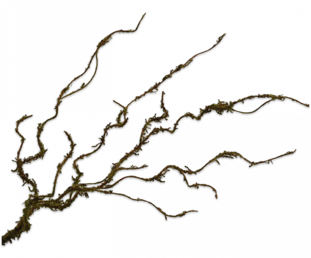 Twig Moss Green 102cm