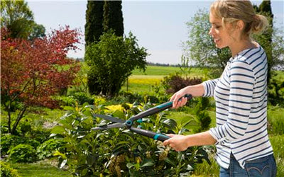 EasyCut Hedge Clipper