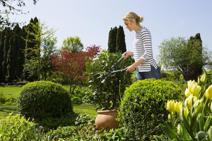 EasyCut Hedge Clipper