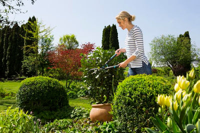 EasyCut Hedge Clipper