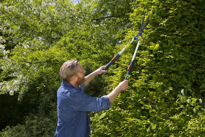 TeleCut Hedge Clipper