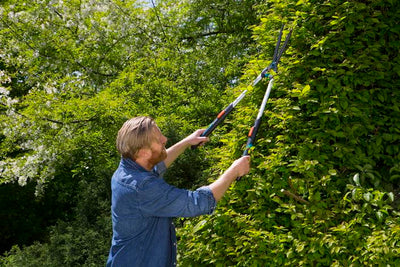 TeleCut Hedge Clipper