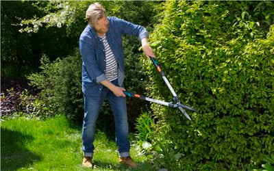 TeleCut Hedge Clipper