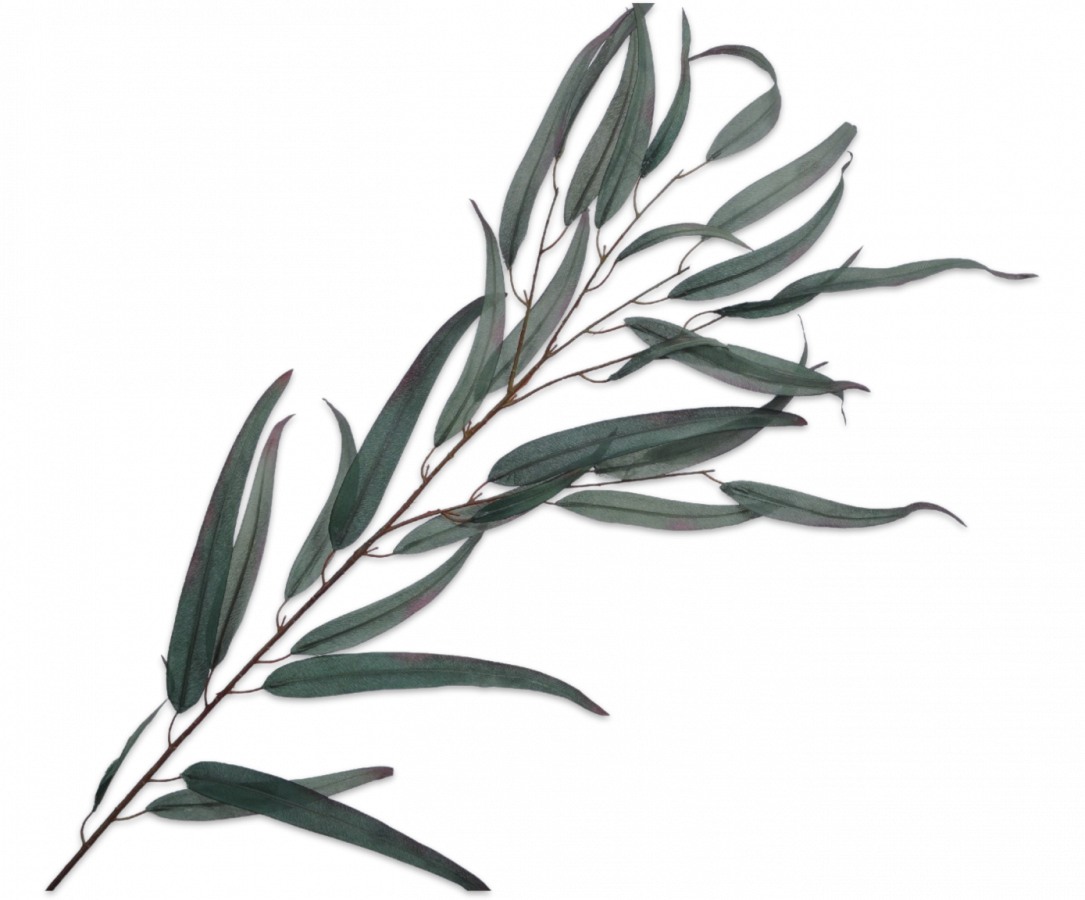 Eucalyptus Branch Green 122cm