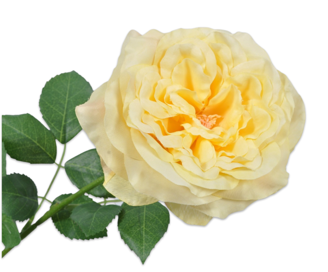 Rose Stem Yellow 91cm