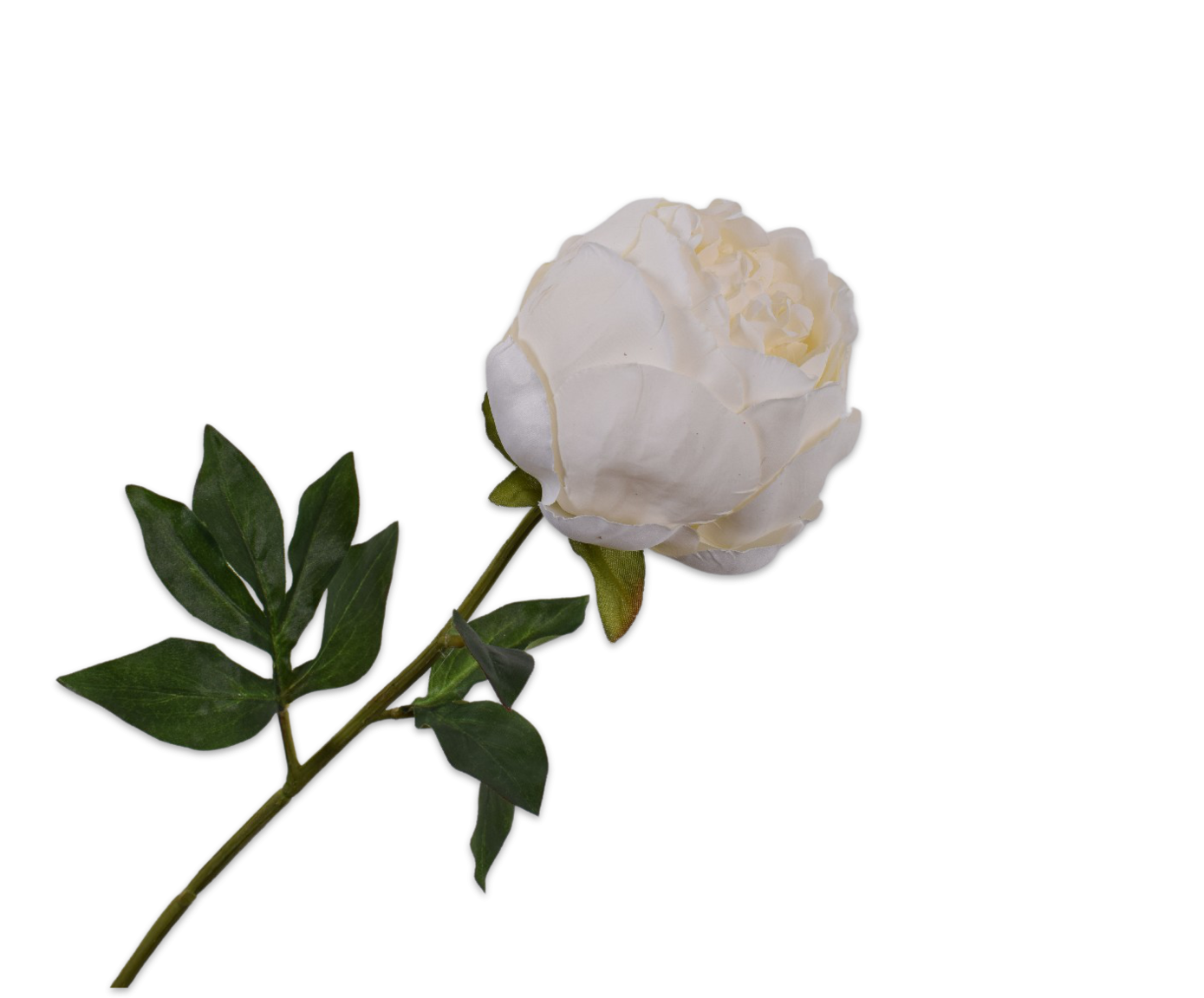 Peony Stem White 52cm