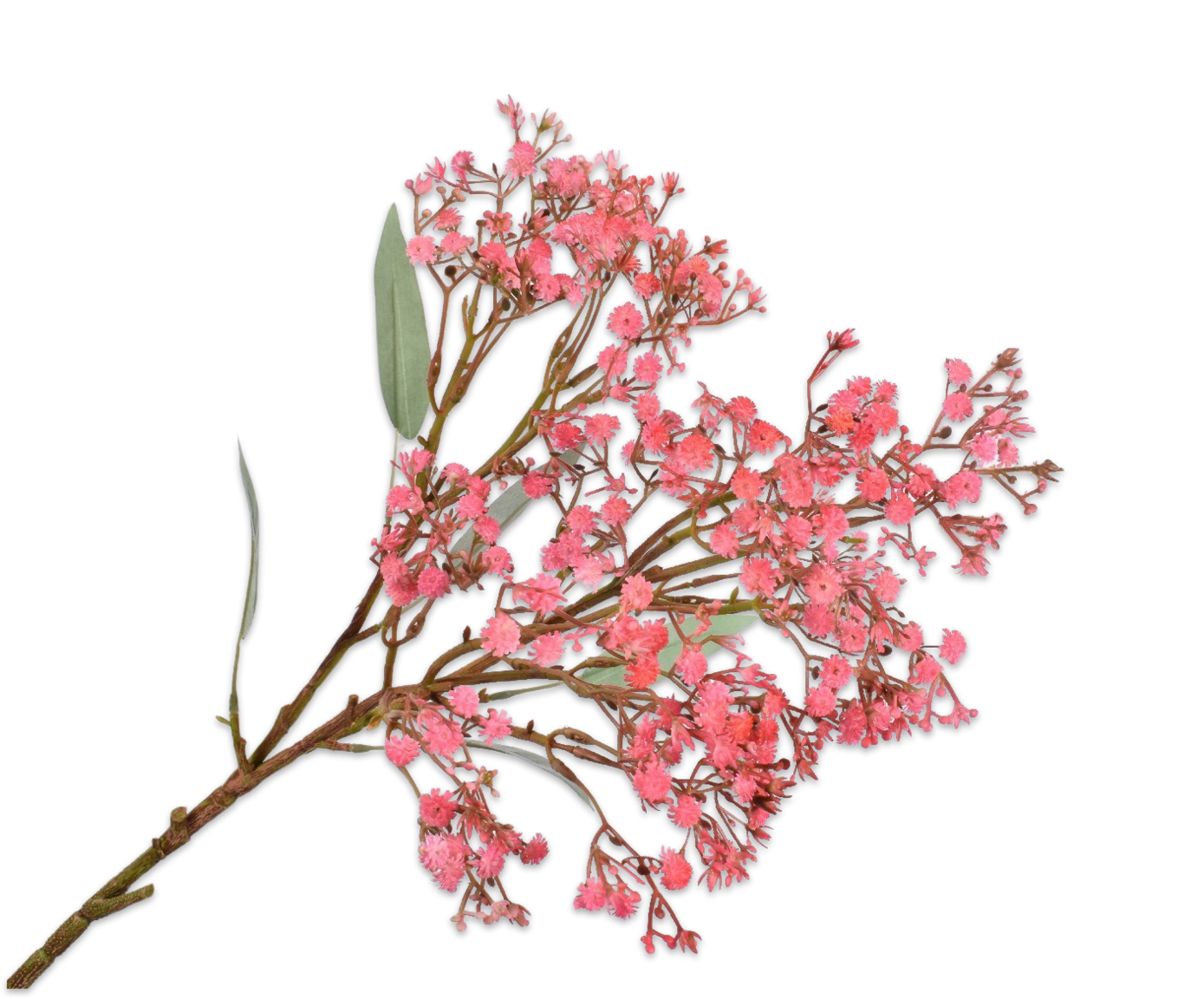 Gypsophila Spray Pink 73cm