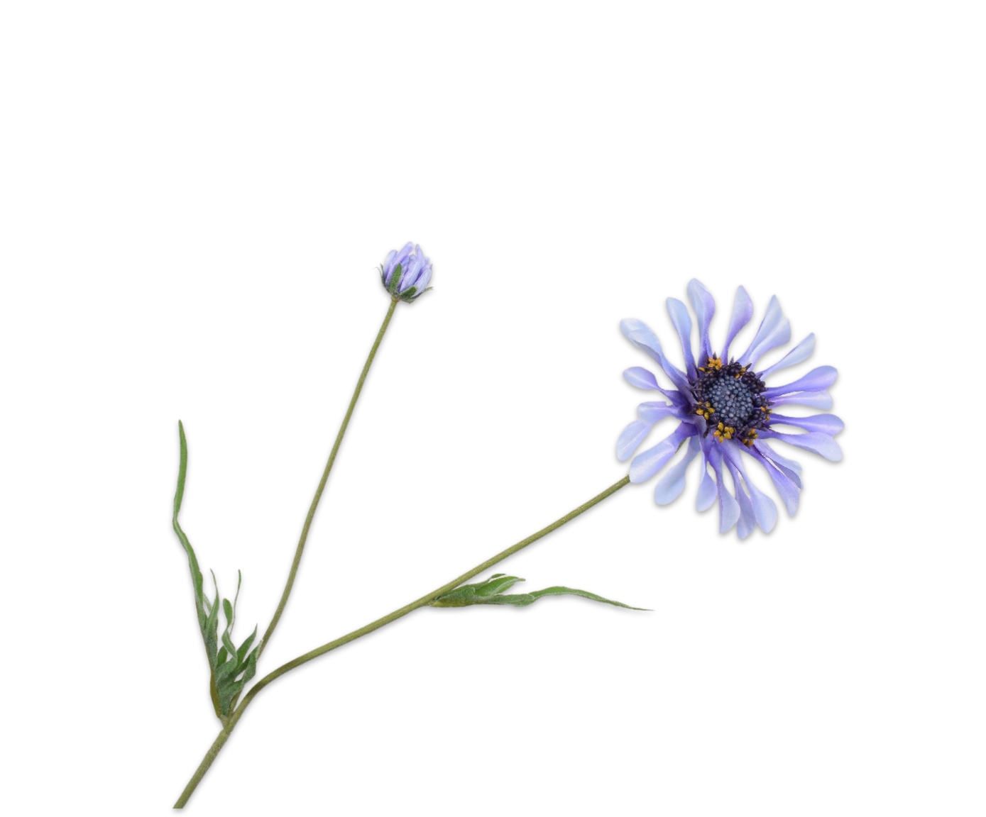 Daisy Stem Lavend 55cm
