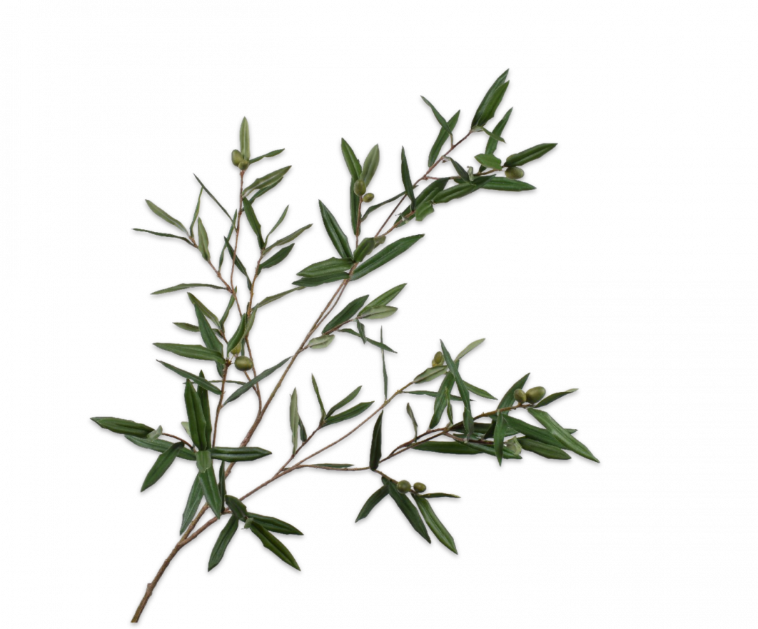Olive Branch Green 123cm