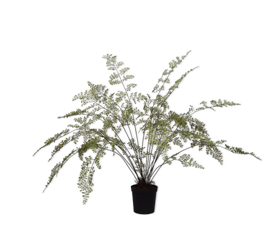 Palm Green 123cm
