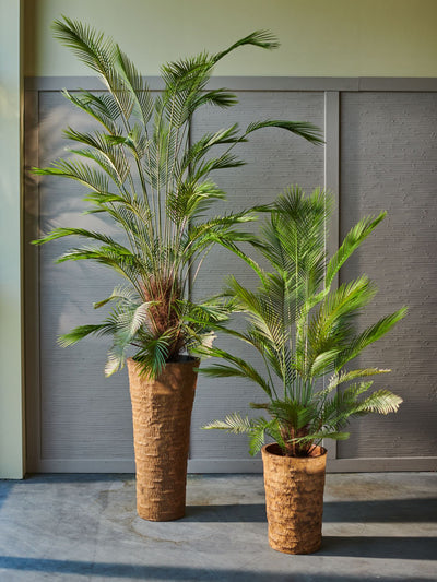 Palm Green 230cm