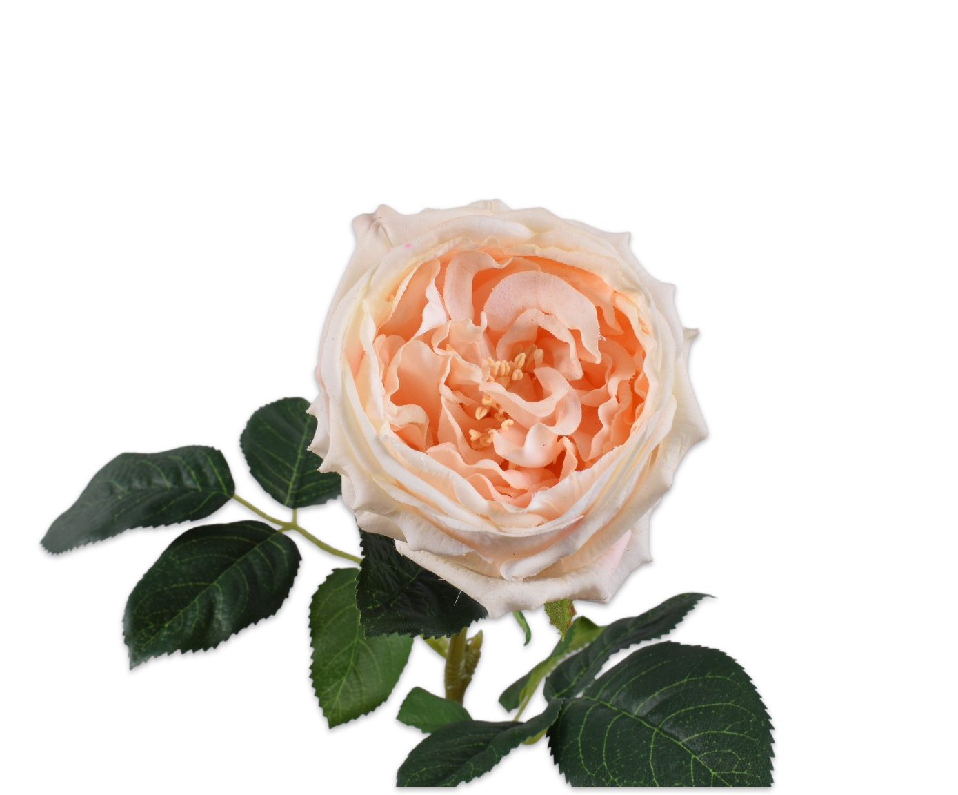 Rose Stem Peach 59cm