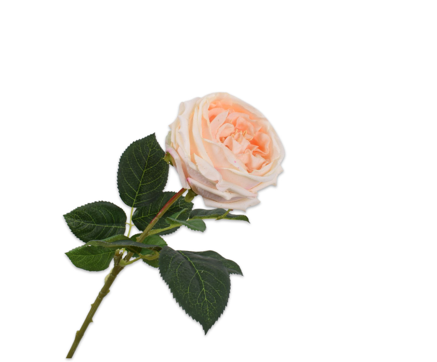 Rose Stem Peach 59cm