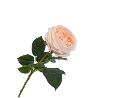 Rose Stem Peach 59cm