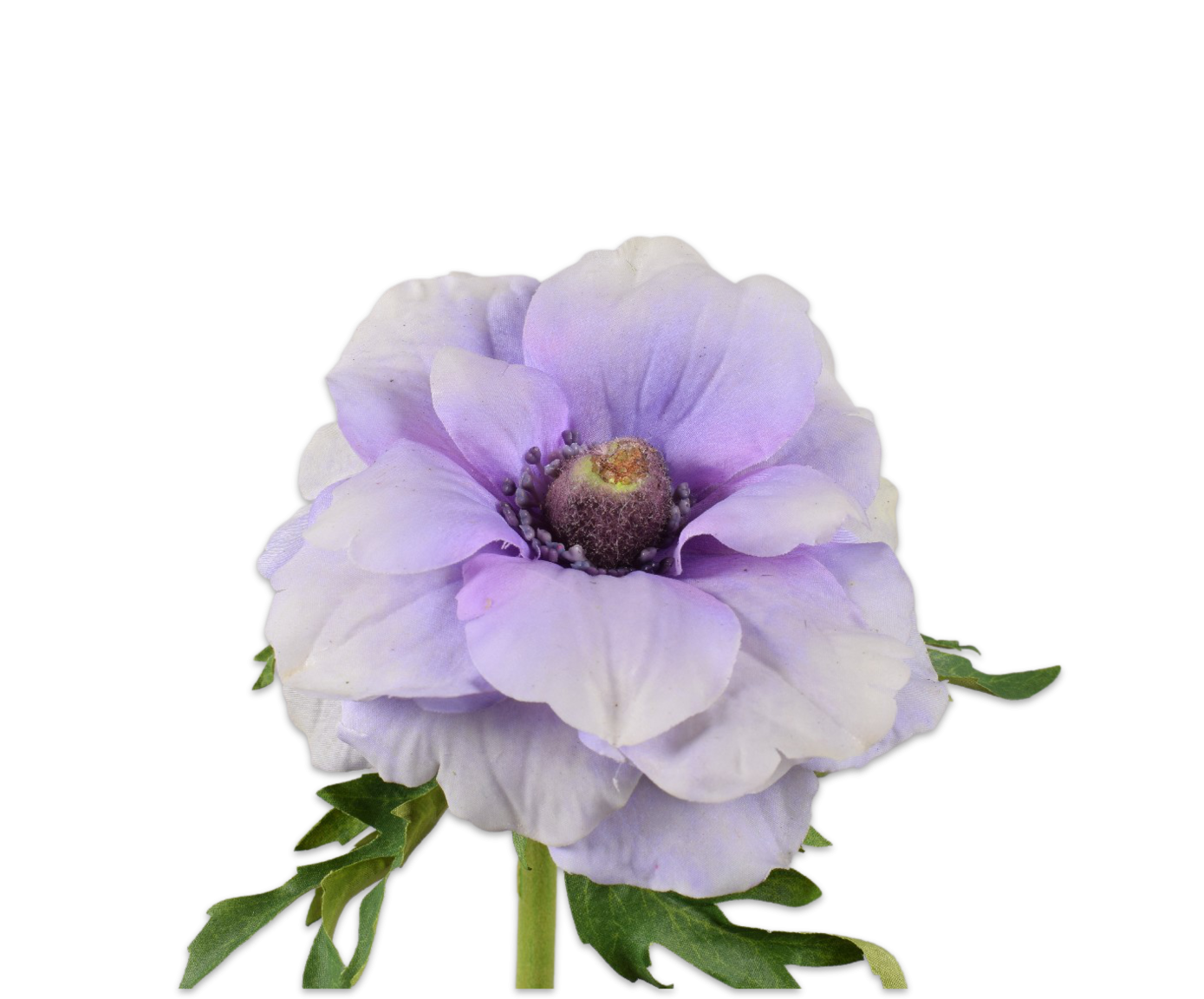 Anemone Stem Wie/Lav 52cm