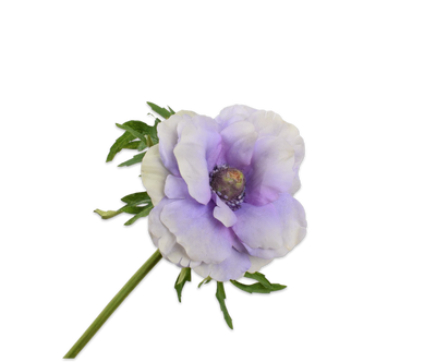 Anemone Stem Wie/Lav 52cm
