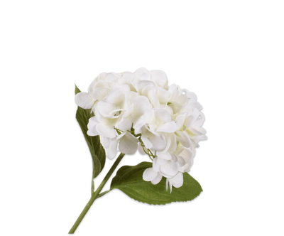 Hydrangea Stem White 46cm