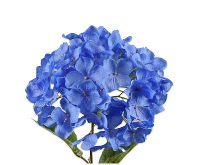 Hydrangea Stem Blue 69cm