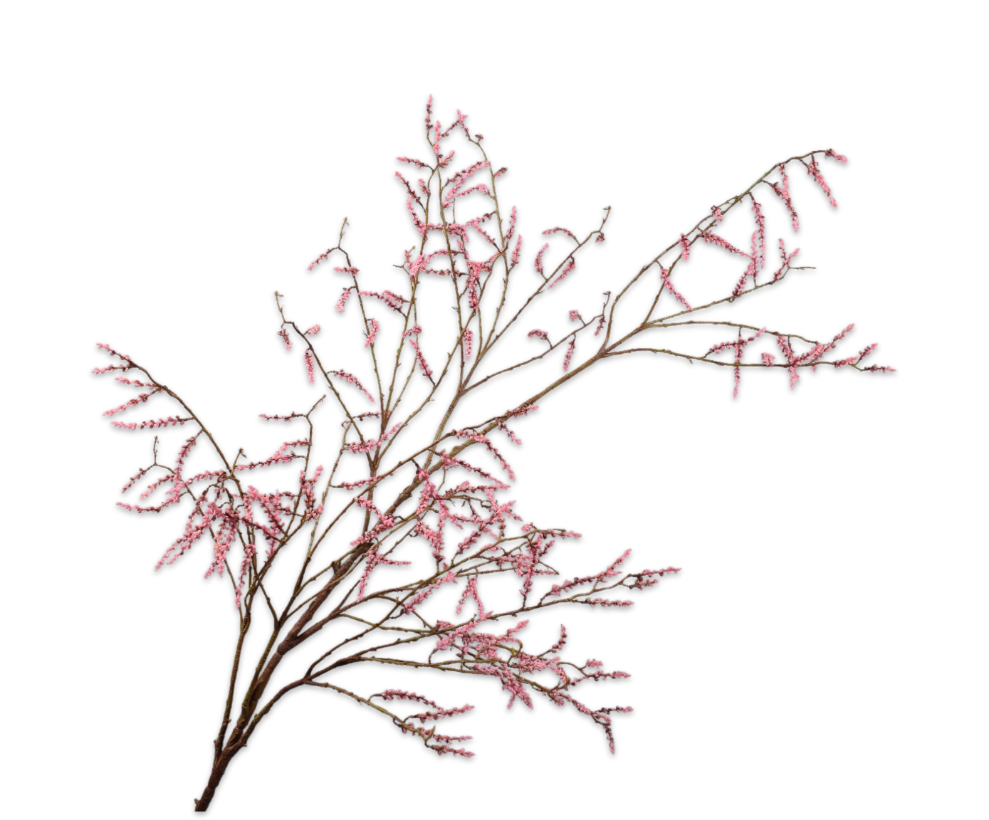Willow Branche Pink 191cm