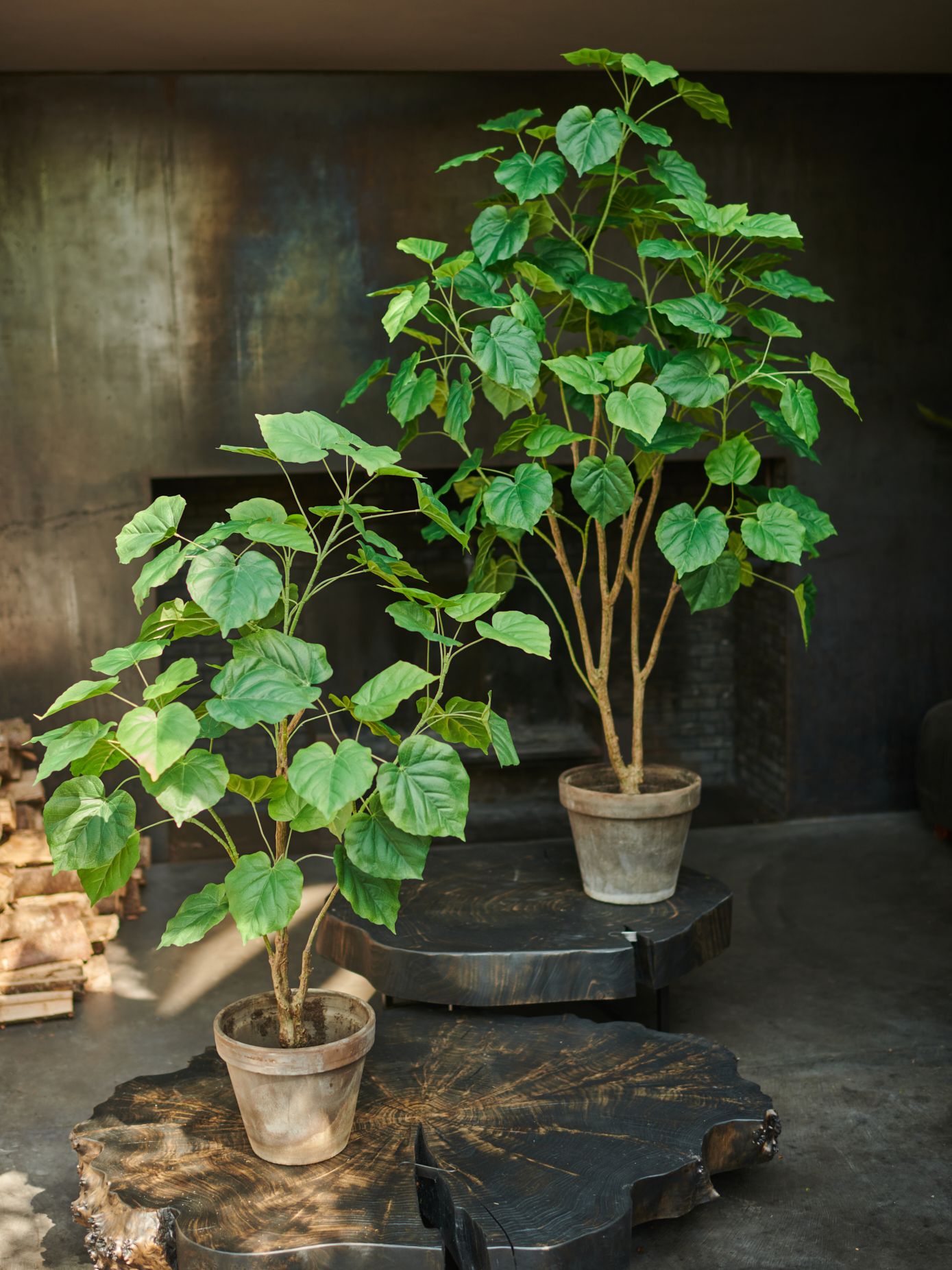 Plant Green 180cm