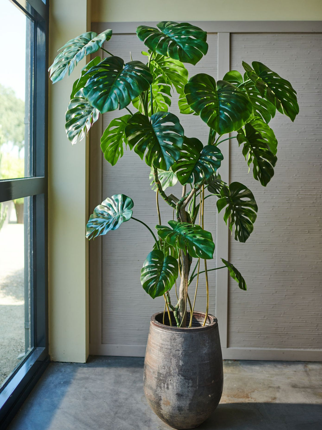 Monstera Green 210cm – The Pavilion