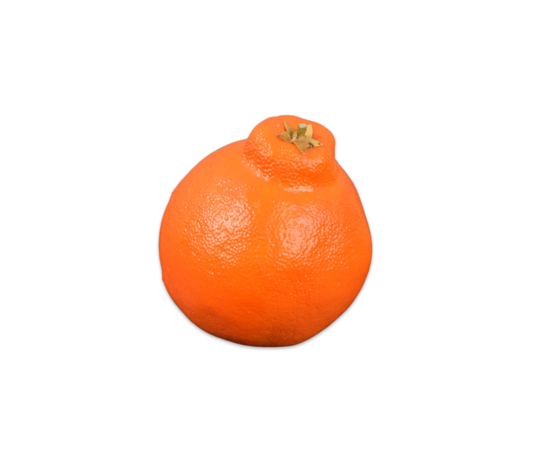 Orange Orange 10cm