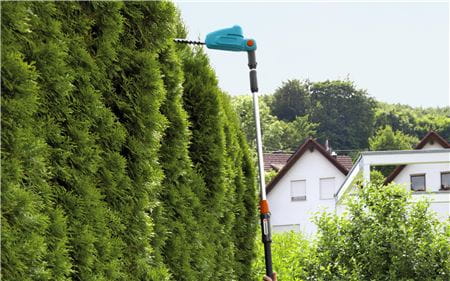Telescopic Hedge trimmer THS 42/18V-P4A Solo