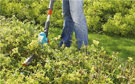 Telescopic Hedge trimmer THS 42/18V-P4A Solo