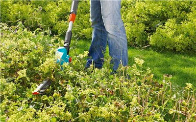 Telescopic Hedge trimmer THS 42/18V-P4A Solo