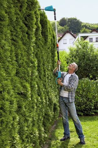 Telescopic Hedge trimmer THS 42/18V-P4A Solo