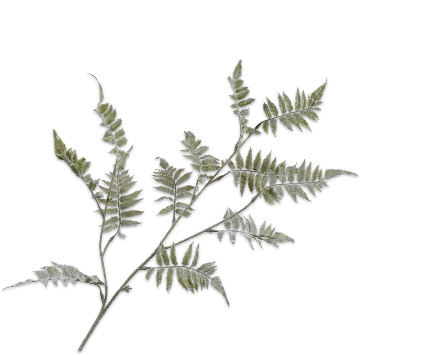 Fern Spray Grey 91cm