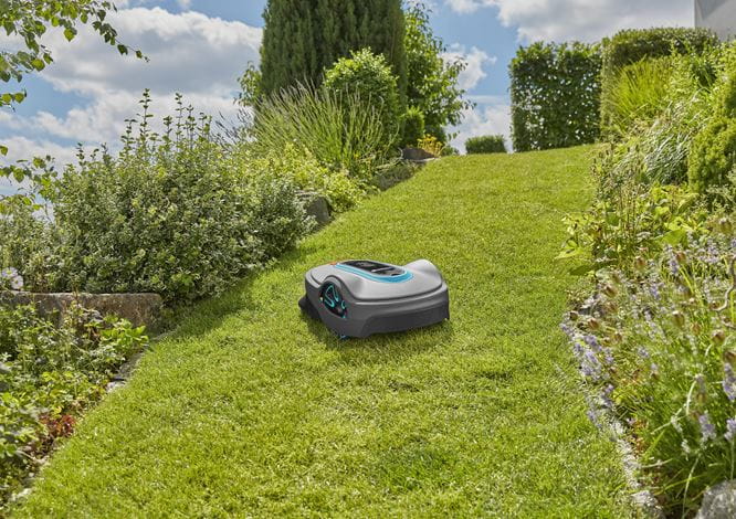 Sileno Life 1000 Sqm.