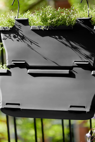 Corsica Vert Forest Large Set 2 (Anthracite)