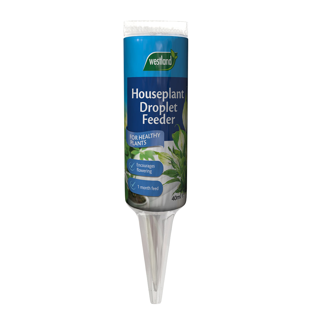 Houseplant Droplet Feeder 40ml - The Pavilion