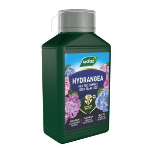 Westland Hydrangea High Performance Liquid Plant Food 1L