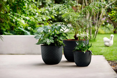 Fuente Lily Round 30Cm (Black)