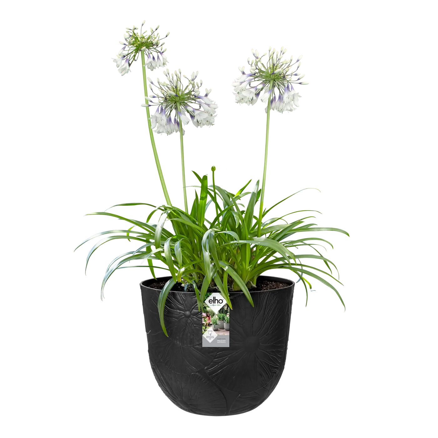 Fuente Lily Round 30Cm (Black)