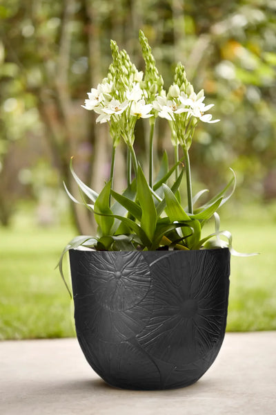 Fuente Lily Round 30Cm (Black)